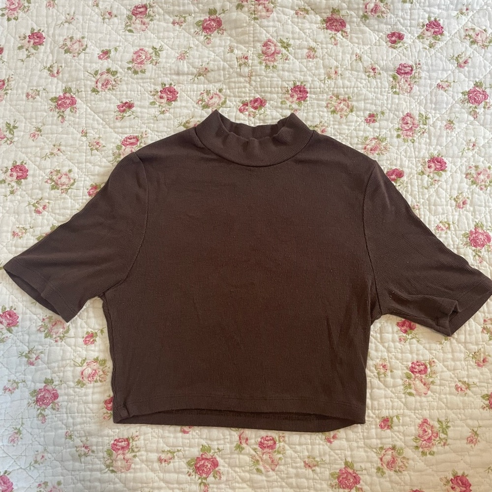 Cropped brown turtleneck